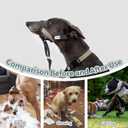 Dog Muzzle for Large Dogs, Soft Breathable Loop Muzzles Prevent Biting & Chewing, Allows Panting and Drinking, Adjustable Humane Muzzle for Pitbull Training (Blackish Green)