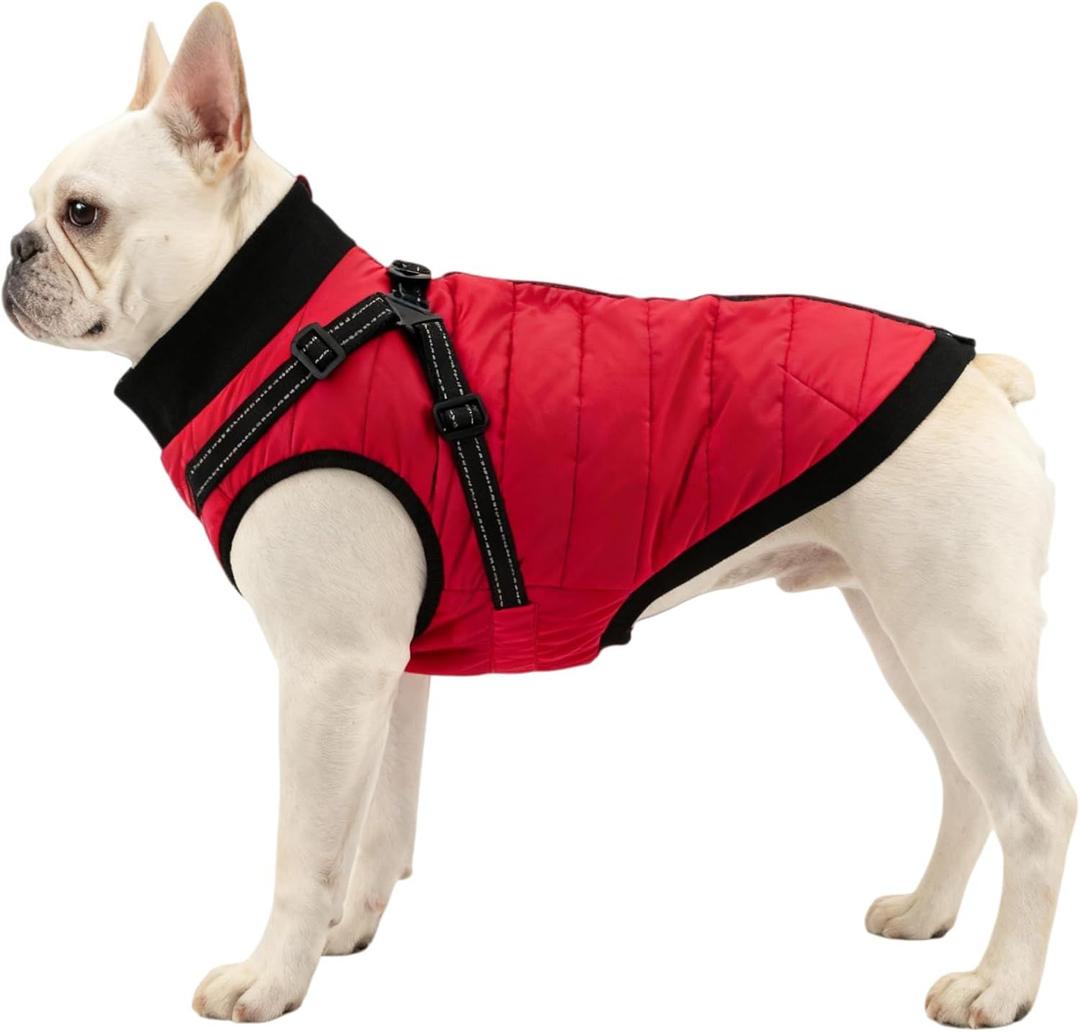 Dog Winter Coat with Hurns Built in, Dog Winter Jacket for Small, Medium, and Large Dogs, Water-Resistant?Windproof - Red - L