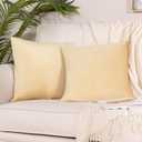 Stellhome Soft Velvet Square Throw Pillow Covers for Bed Couch Sofa Bench, 18 x 18 inch (45 cm), Light Gold, Pack of 2