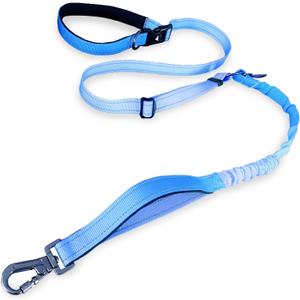 Hands-Free Dog Leash  Adjustable No-Pull Bungee Waist Leash with Car Seatbelt, Perfect for Walking, Jogging, Hiking & Training  Fits Small, Medium, and Large Dogs (Gradient Blue)