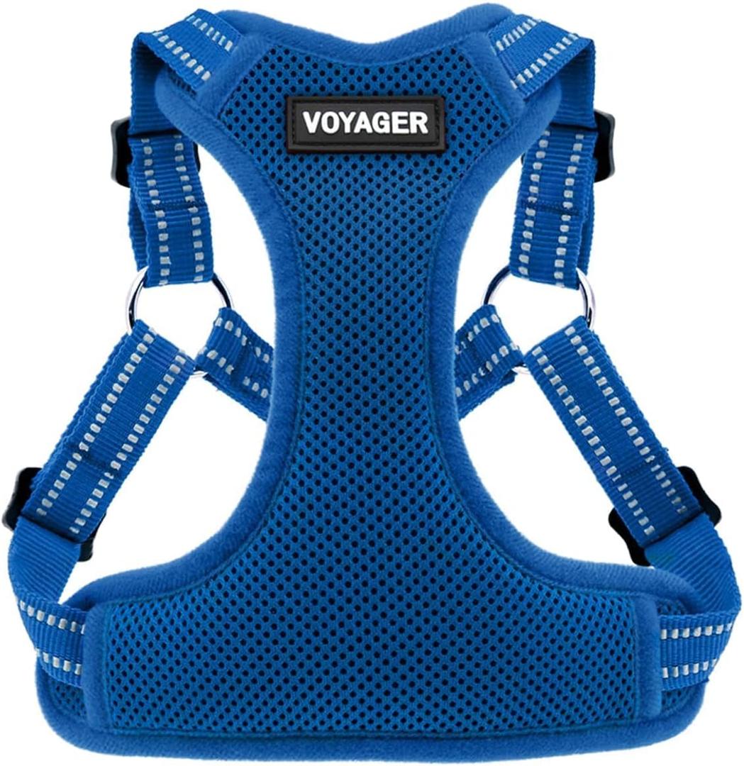 Best Pet Supplies Voyager Adjustable Step-In Flex Breathable Mesh Dog Harness for Small Medium Large Dogs (Royal Blue), S