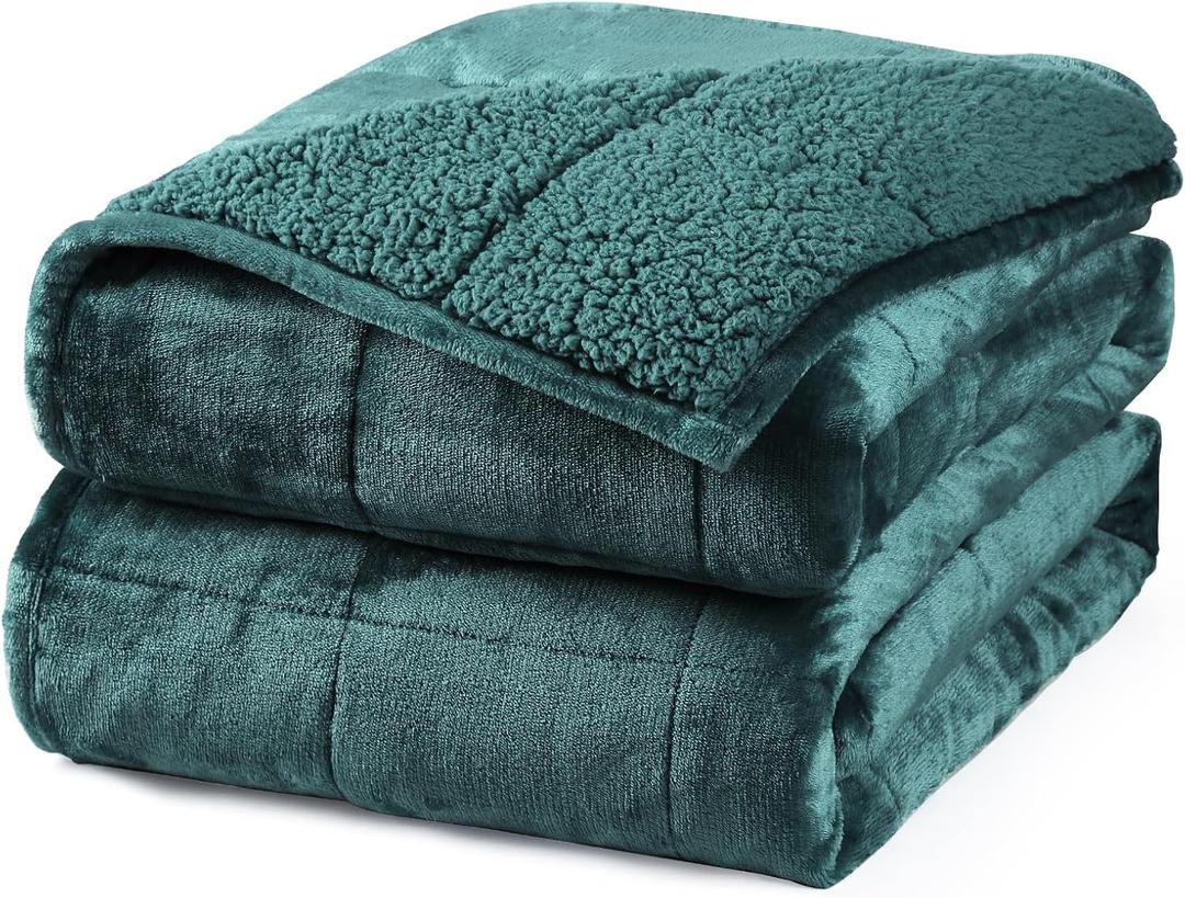 Aemicion Plush Sherpa Weighted Blanket Queen Size 15lbs - Soft Cozy Fleece Heavy Weighted Blanket, Breathable and Washable -Gift for Women Men-Green