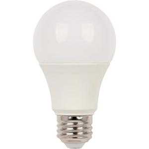  14 Watt (100 Watt Equivalent) A19 Daylight LED Light Bulb, Medium Base (12 Pack)