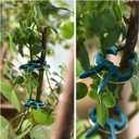 Plant Support Clips, 120 PCS Gentle Flower Plant Clamps for Supporting Vine Climbing Plants, Gardening Lever Loop Gripper Clips Help Stems Vines Grow Straight Upright, 2 Sizes in one Pack