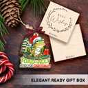 Frog Christmas Ornament 2025 - Frog Ornaments for Xmas Tree - Frogs Gifts for Men, Women, Boys, Girls, Kids, Unique Animal Lover Gifts