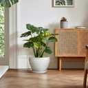 Ceramic Plant Pots Indoor, 10 Inch Planter, Textured Grey