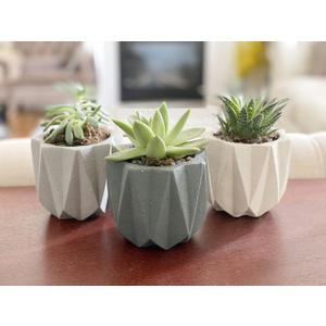 Geometric Nordic Cement Succulent Pots 4.3" Planters with Drainage | 3 Pack (Geometric Nordic Style 4.3")