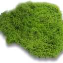 Fake Green Moss for Plants Indoor,17.5 Oz Artificial Moss for Potted Plants Decor,DIY Decorative Faux Moss for Crafts Fairy Garden Floral Table Centerpieces Glass Containers Home (Light Green)