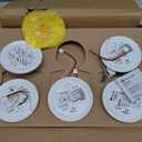 First Alert SMI100-AC, Hardwire Interconnect Smoke Alarm with Battery Backup, 6-Pack