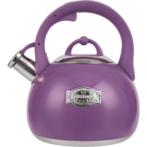 Tea Kettle for Stovetop, Food Grade Stainless Steel Water Kettle, Tea Pot for Home & Kitchen, 3.1 Quart (Purple)