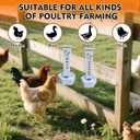 Chicken Oyster Shell Feeder and Grit Feeder Combo/Can be Suitable for Baby Chick, Duck, Turkey Feeders