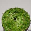 Artificial Grass Fake Grass Lawn Turf 4 ft x 6 ft, GL Realistic Synthetic Pet Turf Garden Landscape, Faux Grass Indoor/Outdoor Rugs with Drain Holes, Dogs Pee Pads Area