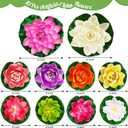 Artificial Lotus Flowers Water Lilies for Pond Pool, 10 Pcs Realistic Floating Foam Lotus Flowers with Lily Pads for Ponds, 4" and 6" Large Lifelike Water Lilies for Fountain Garden Pond Decoration
