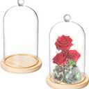 Lyellfe 2 Pack Cloche Glass Dome, 8'' x 5'' Dome Cloche with Rustic Wooden Base, Glass Cloche Bell Jar Display for Plants, Fairy Lights or Table Decor