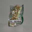 BABEYOND 1920s Flapper Headpiece Roaring 20s Headband Great Gatsby Headband Chain for Women Vintage Hair Accessory (Champagne)