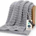 Bedsure GentleSoft Grey Throw Blanket for Couch - Cozy Soft Blankets for Women, Cute Small Fleece Throws for Girls, Light Grey, 50x60 Inches