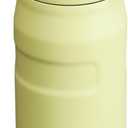 Stanley IceFlow Fast Flow Water Bottle | Angled Spout Lid | Lightweight & Leakproof for Travel & Sports | Insulated Stainless Steel | BPA-Free