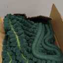 SUBRTEX Bathroom Rugs Chenille Bath Rug Soft Short Plush Bath Mat Soft Shower Mat Water Absorbent Shower Mat Quick Dry Machine Washable (Celadon,16" x 24")