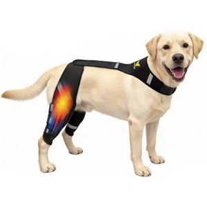 Dog Knee Brace for Torn ACL & Post Surgery Recovery - Hind Leg Support with Patented Double Strap System & Flexible Splints, Relieves Lameness & Arthritis Pain for Small to Medium Dogs (M)15-40LB