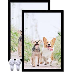 16x24 Picture Frame Set of 2, Black Photo Frames High Transparent Wall Gallery Desktop Horizontal Vertical for Canvas Collage Photo Poster Certificate 16 x 24 inches
