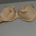 Smart & Sexy Women's Signature Lace Push-up Bra - Perfect for Seeking Effortless Style and Comfort 38DD