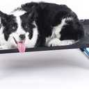 Helinox Elevated Dog Cot Portable Dog Bed for Travel or Camping, Medium (35.5 x 23.5)