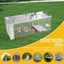 Squirrel Trap Live Animal Humane Cage Trap Catch Rats, Mice, Chipmunk, Weasel and Other Rodents for Indoor and Outdoor