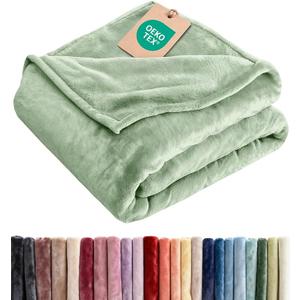 Fleece Blanket Kids Size - Ultra-Soft Flannel Fleece Blanket - Celadon | Soft, Warm, Outdoor Picnic Blanket for Camping, Travel, Lightweight, Cozy, Anti-Static, Home Decor Gifts for Men & Women