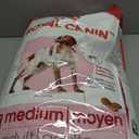 Royal Canin Size Health Nutrition Medium Adult Dry Dog Food, 40 lb Bag (EXP 09/11/26)