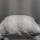 Oubonun 18x18 Waterproof Outdoor Pillow Inserts  Set of 2 Soft & Fluffy, Water Resistant Throw Pillows for Patio, Garden, Porch, or Indoor Decorative