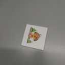 Retirement Gifts for Women & Men: Retirement Ornaments, Farewell Gifts for Retiring Coworkers, Retired Gift for Coworker, Friend, Boss, Employee, Teacher, Nurse  Christmas OrnamentsStyle I