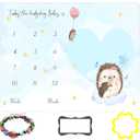 Baby Monthly Milestone Blanket, Hedgehog Theme Photography Background, 60x40 Inch, White, Pink