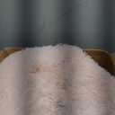 Arbosofe Area Rugs Shaggy Rugs Fluffy Carpets, 8x10 Feet Pink, Modern Plush Carpets for Living Room Bedroom for Kids Girls and Boys, Playroom, and Nursery Room Home Decor (8' x 10' (Rectangular), Pink)