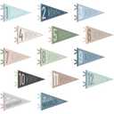 VitalCozy 14 Pcs Baby Milestone Pennant Signs Monthly Milestone Banner Flags Pennant Triangle Banner Age Flag Signs for Boy Girl Newborn Birthday Party Decor(Ocean Color)