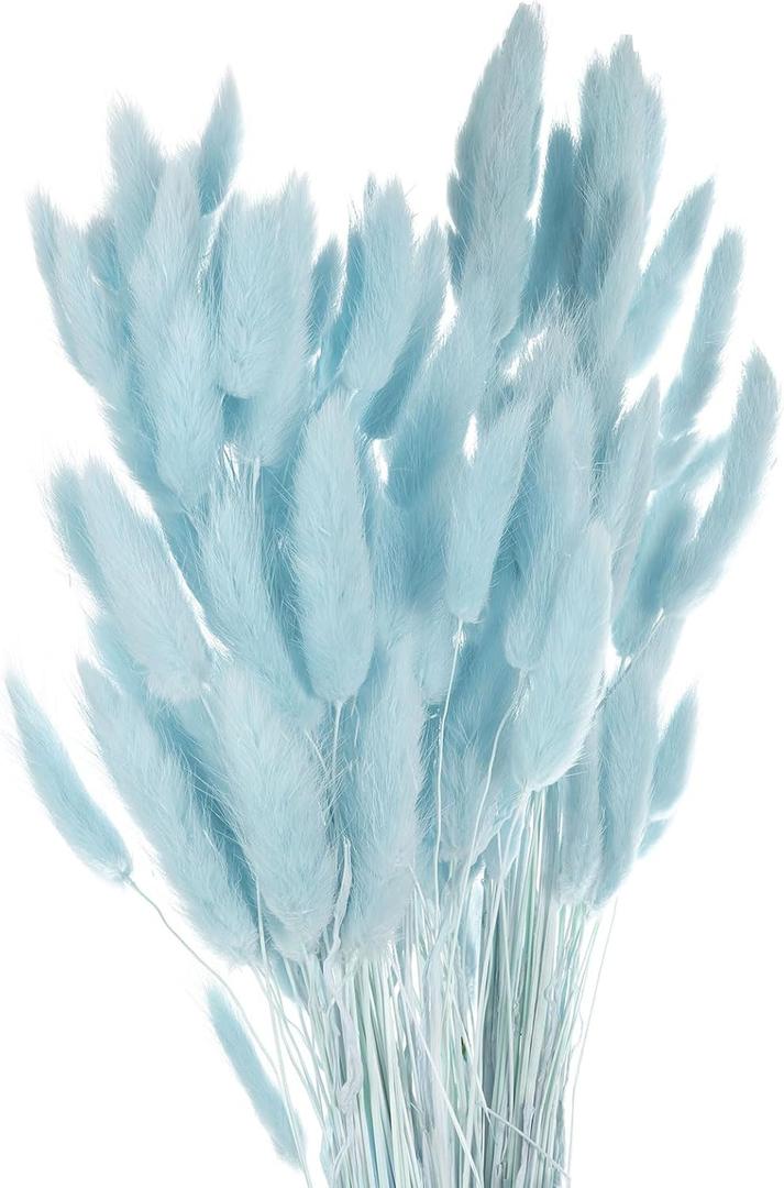MECCANIXITY 120pcs Natural Rabbit Bunny Tails Dried Flowers 24" Mini Pampas Grass Lagurus Ovatus Bunch for Floral Wedding Decor Christmas, Sky Blue
