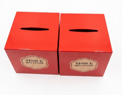 2 x Orbit Tissue box cover