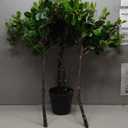 GarveeHome Artificial Plants Indoor, 5 ft Fake Black Olive Tree with Lights Tall Fake Plants in Plastic Nursery Pot Fake Tree Artificial Trees for Home Decor Office Living Room