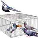 Pigeon Trap Cage with Escape-Proof Design  Auto Bird Trap Cage for Pigeons and Small Birds | Multi-Catch Pigeons Birds Traps for Sale with Well Anti-Rust Baking Paint- L Size (23.8"L x 23.8W x 10.25"H)