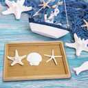JQAQJU 3-4 Inches Large Starfish and Scallop Shells for Crafts 12PCS, Natural Beach Sea Shells for Crafting, Baking Shells Perfect for White Christmas Decor Beach Party Wedding Fishtank DIY Crafts