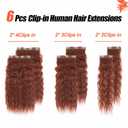 Clip in Hair Extensions Real Human Hair 120g 6pcs Deep Water Wave Curly Human Hair Extensions Double Weft Super Wave Clip ins for Women (33#, 20 Inch)