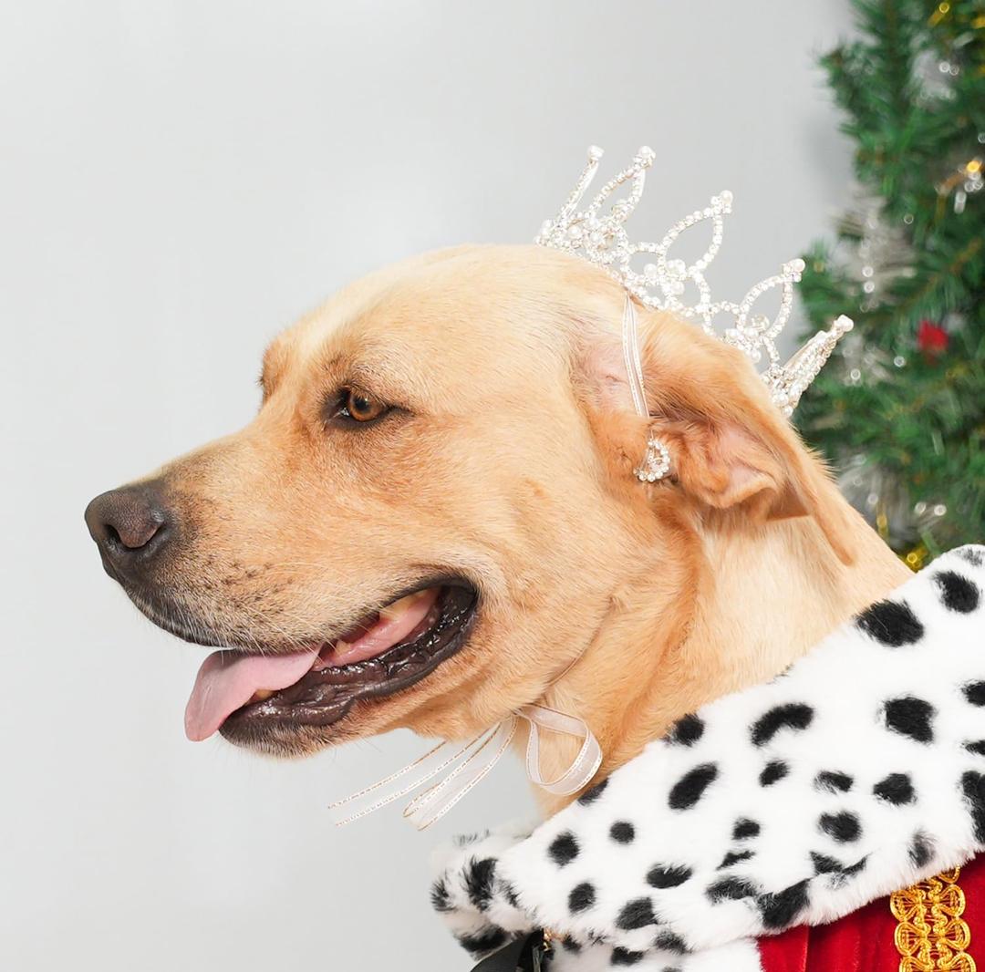 Lovelyshop Pet Series Silver Plated Royal Rhinestone Pearl Full Round Dog/Cat Crown for Rolyal Family Costume Hair Accessories-XLarge Size