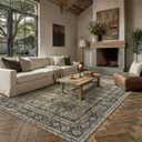 PureCozy Brown Area Rug 7x9 Vintage Traditional Distressed