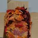 DearHouse 2 Pack Fall Garland Maple Leaf, 5.9Ft/Piece Hanging Vine Garland Artificial Autumn Foliage Garland Thanksgiving Decor for Home Wedding Fireplace Party Christmas (Red)