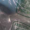 Munchkin Sippy Cups for Toddlers 1-3, Spill Proof Miracle 360 Cup, 10 Ounce, 2 Pack, Green/Blue