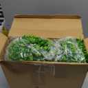 Geosar 12 Pcs Artificial Hanging Plants 32 Inch Hanging Boston Ferns Plastic Fake Plants for Wall Room Garden Wedding Garland Indoor Outdoor Decoration, No Basket