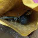 Stuffed Animal Zoo Wood, Large Stuffed Animal Storage Plushies Storage, Pink Toy Storage Organizer for Kids Room Nursery Play Room Bedroom