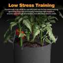 Patigrow Self-Watering Grow Bags, 5-Pack 3 Gallon 420G Thick Nonwoven Fabric Pots with Reinforced Handles and Multi-Purpose Rings, for Low Stress Plant Training Fruits, Vegetables,and Flowers