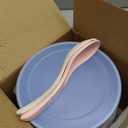 5 Pack Unbreakable Wheat Straw Bowls with Lid, 26 OZ Cereal Bowls for Kitchen, Dishwasher Safe Soup and Salad Bowls, Reusable microwave bowl for Ice Cream,Snack and Fruits