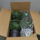 Artificial Boxwood Ball Topiary Tree, Set of 2 Boxwood Ball-Shaped Artificial Topiary, for Porch Outdoor or Indoor
