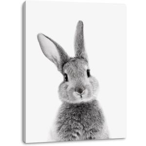 DakTenn Rabbit Wall Art Bunny Wall Art Bunny Decor Lovely Rabbit Posters for Rabbit Nursery Wall Art Framed Easter Artwork Home Decor Nursery Wall Decor for Bedroom Bathroom Bunny Poster Bunny Pictures 18x24 Inches